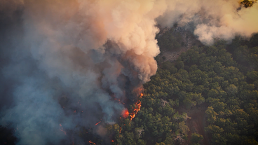 SP: Defesa Civil emite alerta para risco de incêndios florestais