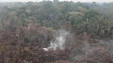 Amazônia tem 2,5 milhões de hectares queimados em agosto, diz relatório