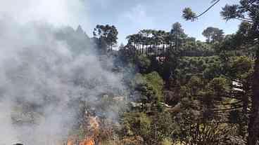 SP: Defesa Civil diz que ação humana causou 100% dos incêndios