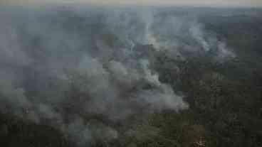 Em SP, risco de incêndio fecha 80 Unidades de Conservação