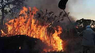 MP aciona Justiça para contratação de brigadistas contra incêndios