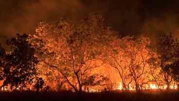 No combate aos incêndios no país, Lula cria Autoridade Climática