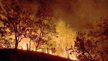 Bombeiros do Rio combatem mais de 330 incêndios no Estado