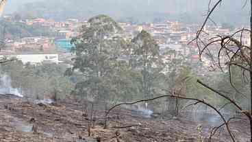 Estado de SP amanhece com 11 focos de incêndio florestal