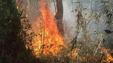 Rio: união de esforços busca conter incêndio na Serra dos Órgãos