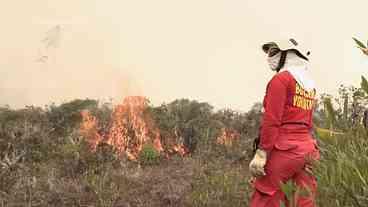 Incêndios florestais deixam ao menos 15 mortos no Peru