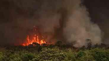 Incêndios podem ter afetado mais de 11 milhões de pessoas