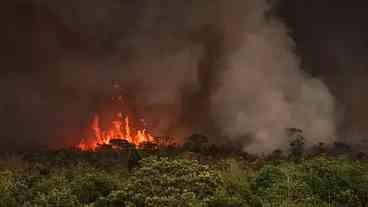 Unidades de conservação são reabertas após queda nos incêndios