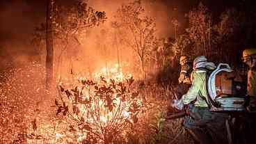 Ação humana é responsável por 99% dos incêndios no país