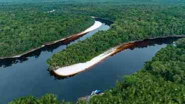 Nos últimos 39 anos, Amazônia perdeu quase uma Colômbia de florestas