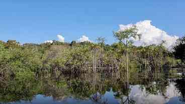 Rio Negro pode passar por pior seca da história, diz relatório