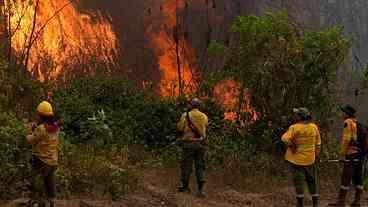 Governo da Bolívia decreta ‘desastre nacional’ por incêndios