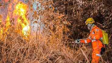 Incêndio destrói área de 50 mil metros quadrados em São Paulo