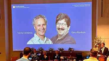 Prêmio Nobel de Medicina premia pesquisa sobre como genes funcionam