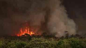 País tem 22,38 milhões de hectares atingidos por incêndios, em nove meses