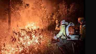 Seca e ação humana, incêndios no Cerrado aumentam 117%, diz relatório