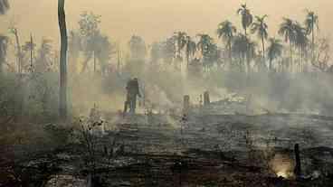 Estudo inclui Floresta Amazônica sob risco de chegar ao ponto de não retorno