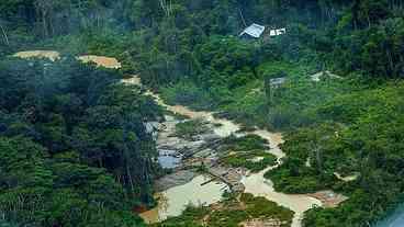 ONG informa registro de 176 escavadeiras em terras Yanomami