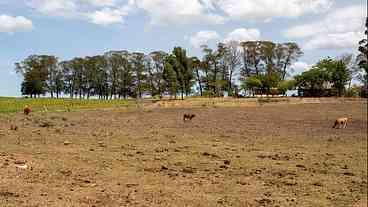 El Niño deve elevar temperaturas globais, diz OMM