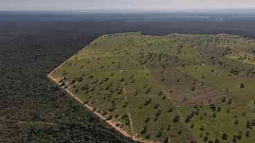 Quase 800 instituições condenam ‘esquartejamento ambiental’