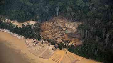 Amazônia: estudo mostra que garimpo causa aumento da concentração de mercúrio em peixes