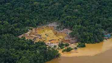 Após derrota de Bolsonaro, cai o desmatamento da Amazônia