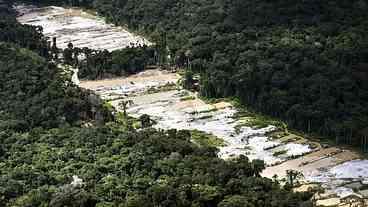 Operação destrói 10 garimpos ilegais na Amazônia