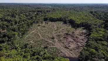 Brasil liderou desmatamento de florestas tropicais em 2022, diz relatório