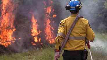 Brasil vai enviar apoio para combate a incêndios florestais no Canadá