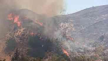 Incêndios florestais provocam mortes e destruição no Mediterrâneo