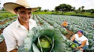 Agricultura familiar responde por quase metade da renda, no interior