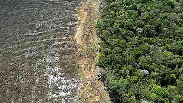 Desmatamento bate recorde no Cerrado, Amazônia tem menor marca em quatro anos