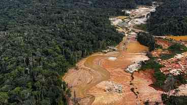 Amazônia: desmatamento tem bons sinais, mas segue desafio