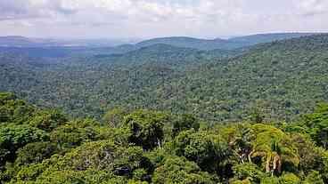 Dia da Amazônia: festivais alertam para defesa dos biomas brasileiros