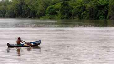 Amazônia Legal terá recursos para iniciativas de bioeconomia