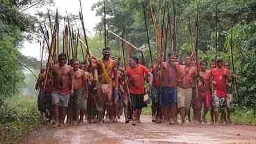 Roraima: Justiça pede que Funai reabra postos de vigilância em terra Yanomami