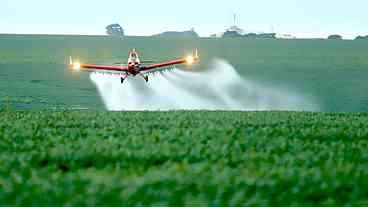 Latifúndio abusa dos agrotóxicos e devasta biodiversidade, diz estudo