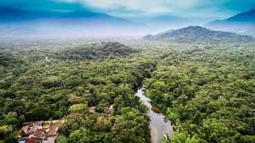 Amazônia: Musk domina Internet por satélite com antenas em 90% das cidades