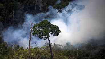 Amazônia: Um fogo que nos devora