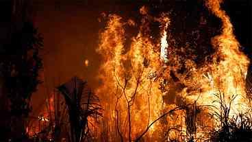 Desmatamento na Floresta Amazônica sobe por quatro meses seguidos