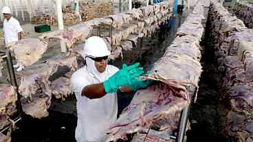 China faz importação recorde de carne do Brasil ao longo deste mês