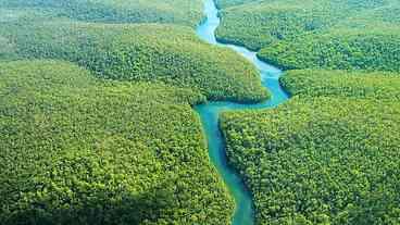 'Amazonas, o despertar da florestania': de novo sob ameaça