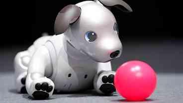 Sony apresenta uma versão 'policial' de seu cão-robô Aibo