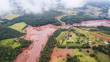 Crime ambiental de Brumadinho: algumas reflexões a serem feitas