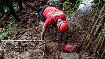 Brumadinho: equipes fazem buscas por vítimas