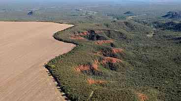 Desmatamento da Amazônia diminui 22,3% e atinge menor nível desde 2019