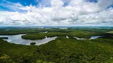 Adeus, Amazônia