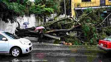 Chuva provoca enchentes e queda de árvores em São Paulo