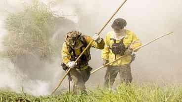 No Pantanal, brigadistas intensificam trabalho de combate a incêndios