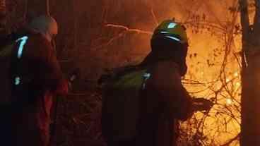 Incêndio destrói 200 hectares do Parque Nacional do Monte Pascoal